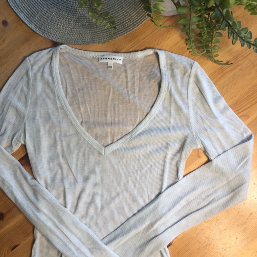 Aritzia community grey sheer long sleeve top